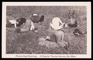 Prairie dog watching... a popular tourist activity out west