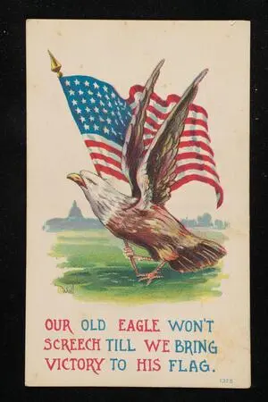 Our old eagle won't screech till we bring victory to his flag.