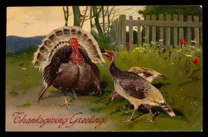 Thanksgiving greetings