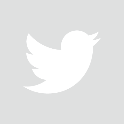 Twitter's Bird Logo